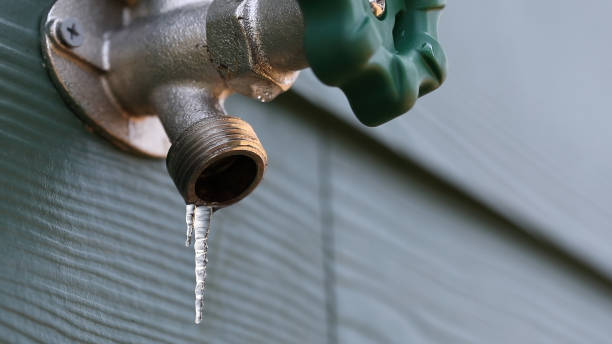 Best Shower Repair Services  in Atlantis, FL